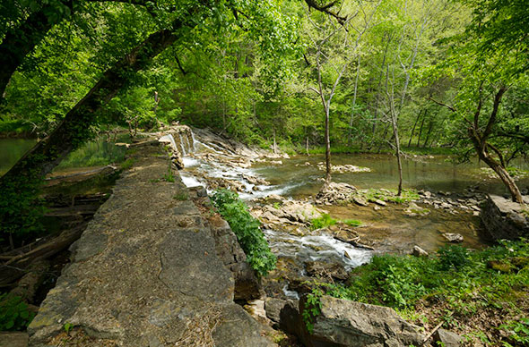 Laurel Run Trail Waterfall
